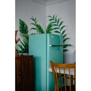 Réfrigérateur Combiné 320L | Zanolv