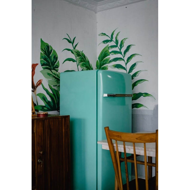 Réfrigérateur Combiné 320L | Zanolv