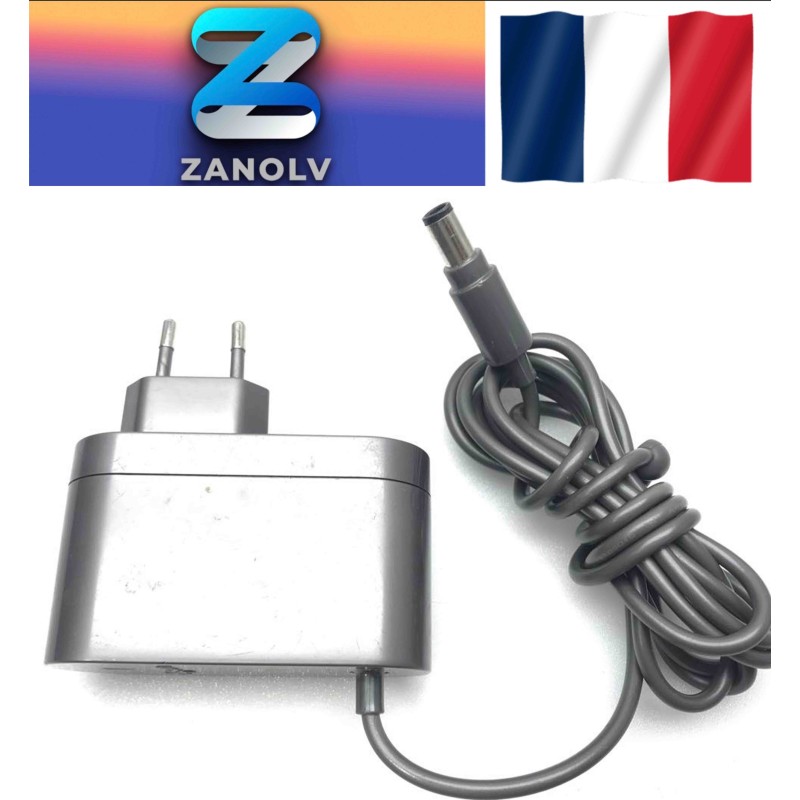 Chargeur aspirateur DYSON 24.35V 348mA 16.75V 348mA 17530-03 SSW-1864EU-A